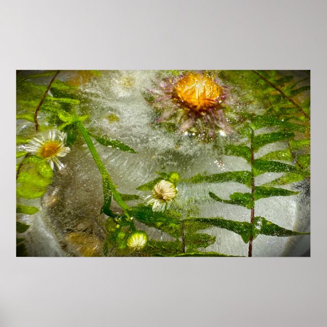 Póster Flores Heladas (Frente)