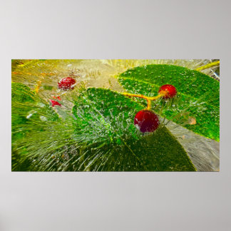 Póster Flores Heladas