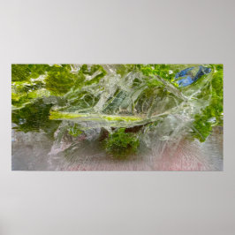 Póster Flores Heladas,