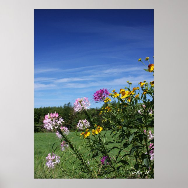 Póster Flores inclinadas (Frente)