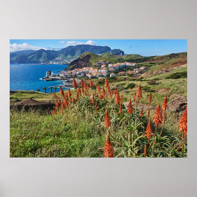 Póster Flores | Isla Madeira Portugal (Frente)