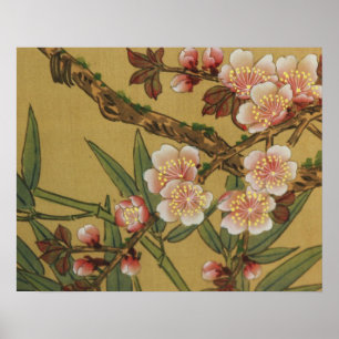 Póster Flores Japonesas Asiáticas de Flor de Cerezo Vinta