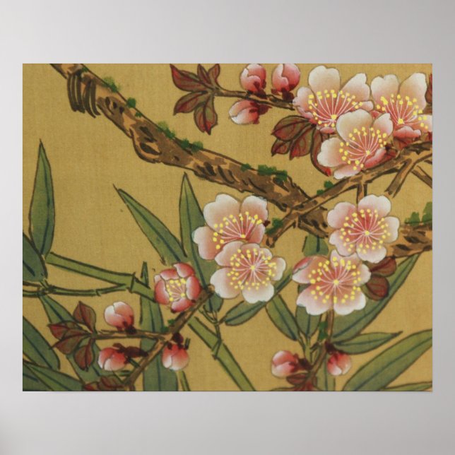 Póster Flores Japonesas Asiáticas de Flor de Cerezo Vinta (Frente)