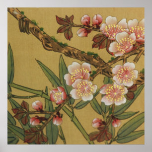 Póster Flores Japonesas Asiáticas de Flor de Cerezo Vinta