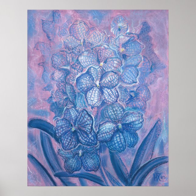 Póster Flores Jardín Vanda Jardín de orquídea Azul Botáni (Frente)