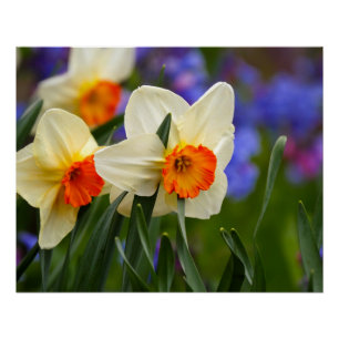 Póster Flores luminosas