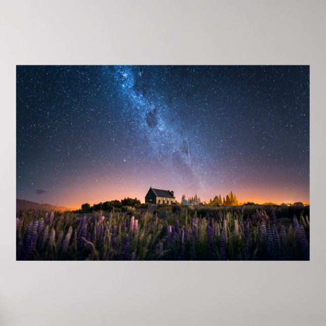 Póster Flores | Lupines Blooming Lake Tekapo Nueva Zeland (Frente)