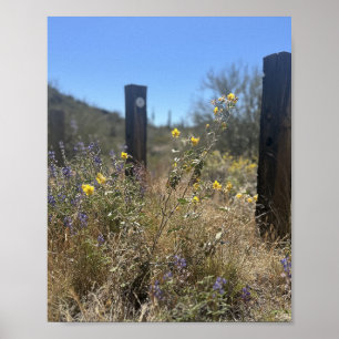 Póster Flores moradas amarillas del desierto de Arizona b