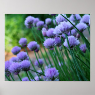 Póster Flores moradas de escalón efecto Orton