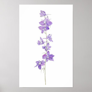 Póster flores moradas de larkspurs acuarela