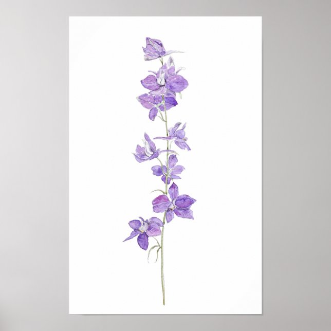 Póster flores moradas de larkspurs acuarela (Frente)
