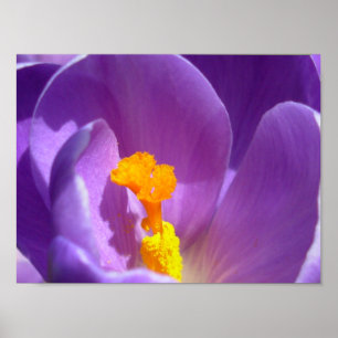 Póster Flores moradas Imprimir el color azul de la impres