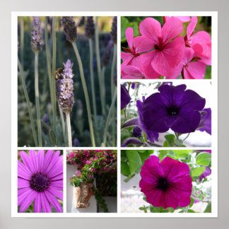Póster Flores moradas y rosas