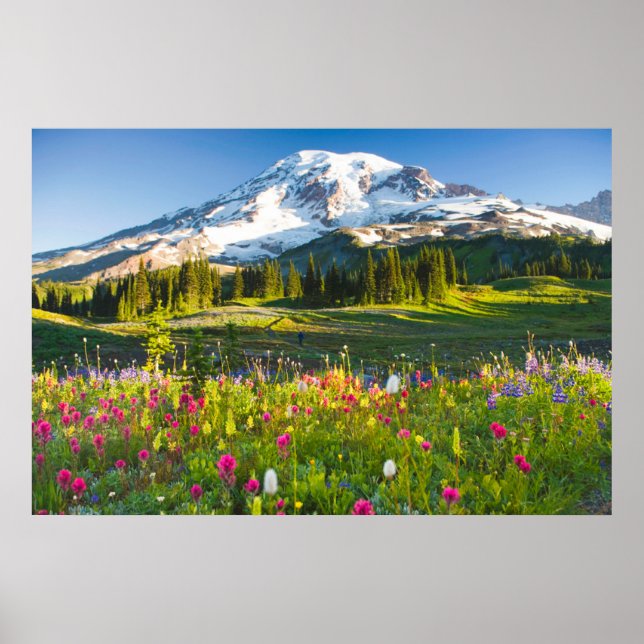 Póster Flores | Mt. Rainier Wildflowers (Frente)
