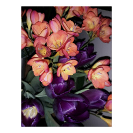 Póster flores naranja y púrpura