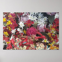Póster Flores nativas australianas