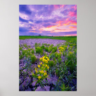 Póster Flores North Dakota Red River Valley