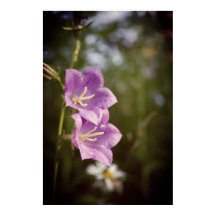 Flores oscuras románticas – Fantasía botánica boho