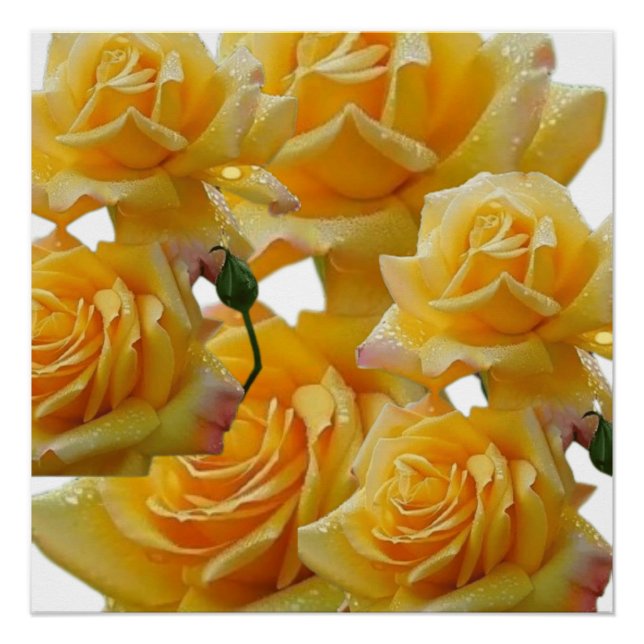 Póster Flores para las casas (Anverso)