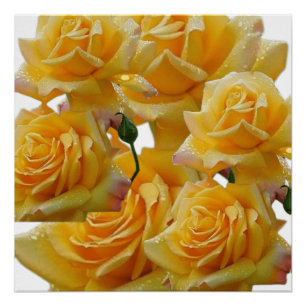 Póster Flores para las casas