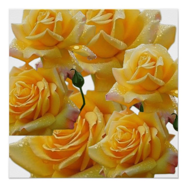 Póster Flores para las casas (Anverso)