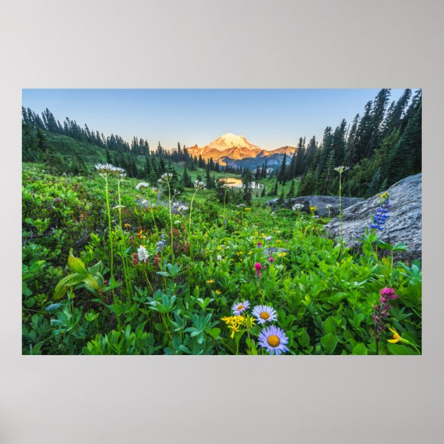 Póster Flores | Parque nacional Monte Rainier (Frente)