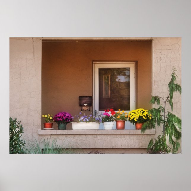 Póster Flores - Pensando en la primavera (Frente)