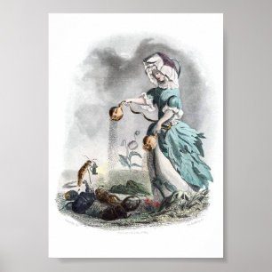 Póster Flores personificadas -amapola