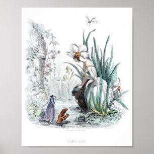 Póster Flores Personificadas -Daffodil