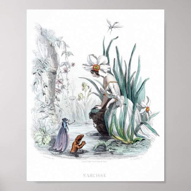 Póster Flores Personificadas -Daffodil (Frente)