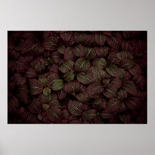 PÓSTER FLORES PETALED MAROON
