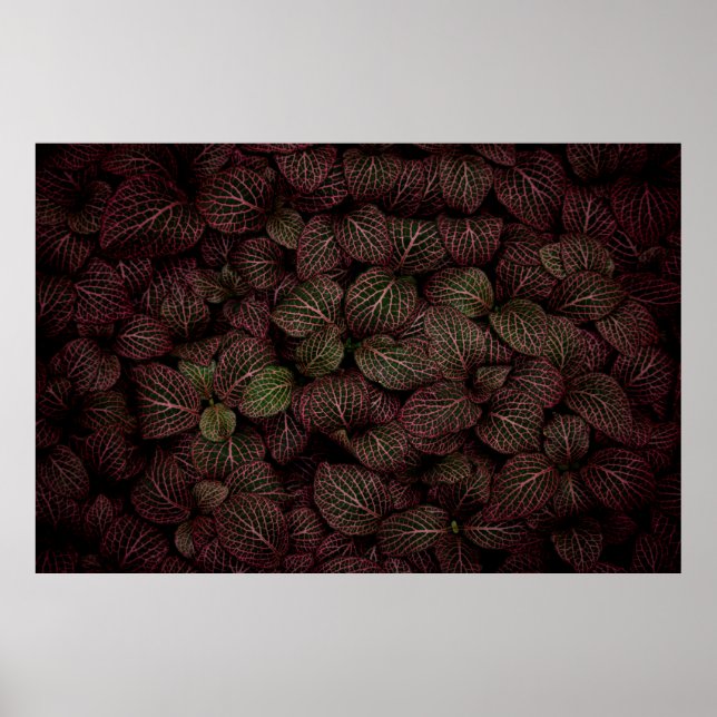 PÓSTER FLORES PETALED MAROON (Frente)
