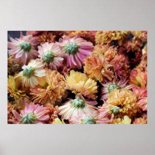 PÓSTER FLORES PETALIZADOS DE COLOR ROSA