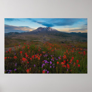 Póster Flores Pincel indio y penstemon