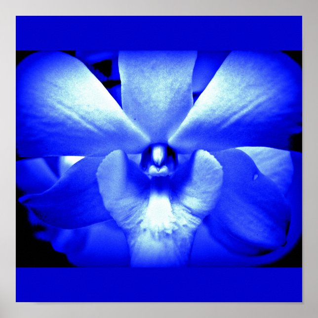 Póster Flores pintadas de poster 13 (Frente)