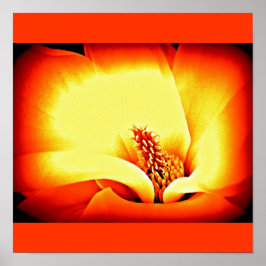 Póster Flores Pintadas De poster 9