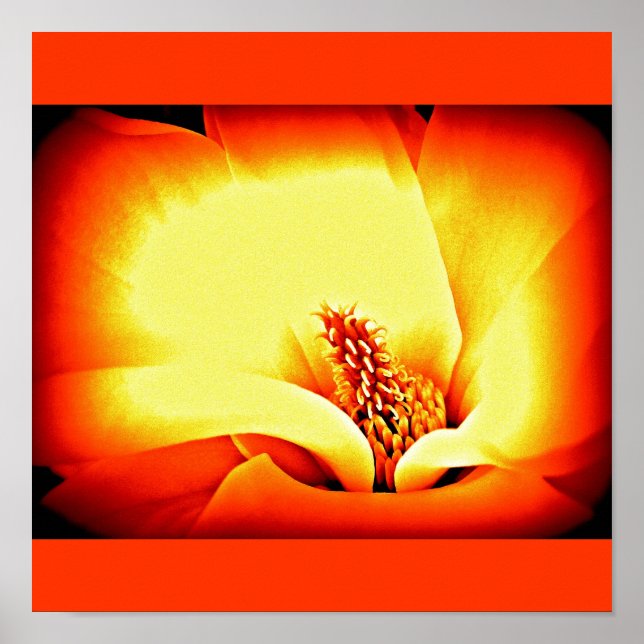 Póster Flores Pintadas De poster 9 (Frente)