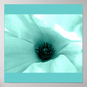 Póster Flores Poster-Flor-Pintadas 4