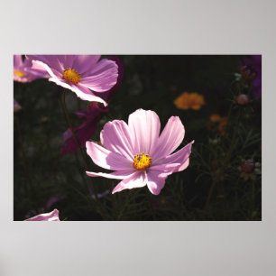 PÓSTER FLORES PURPLE PETALED