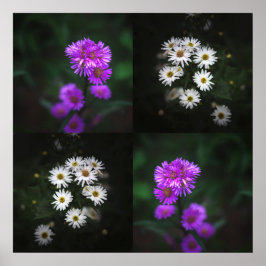 Póster Flores Purpura y Blancas