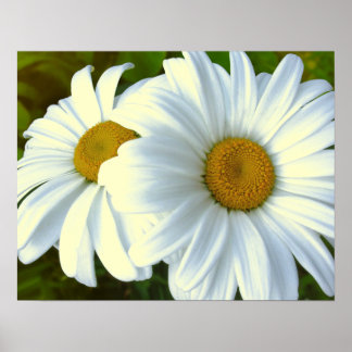 Póster Flores púrpuras Imprimir Poster de mareas clásicas