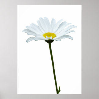 Póster Flores púrpuras Imprimir Poster de mareas clásicas