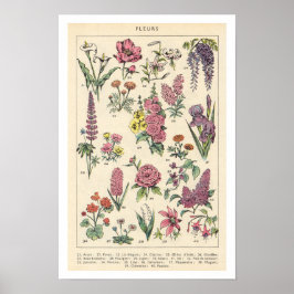 Póster Flores púrpuras vintage