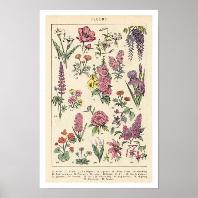 Póster Flores púrpuras vintage (Frente)