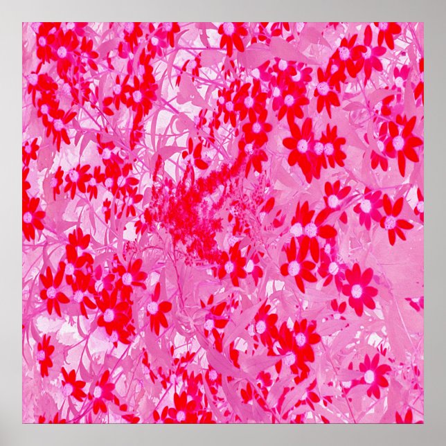 Póster Flores rojas de bonito (Frente)