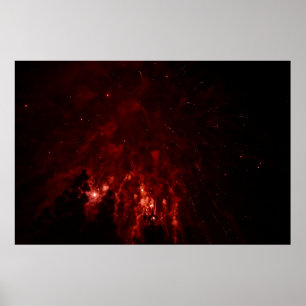 Póster Flores rojas de noche