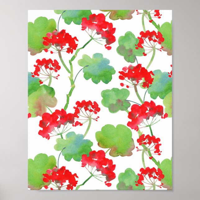 Póster Flores rojas (Pelargonium) (Frente)