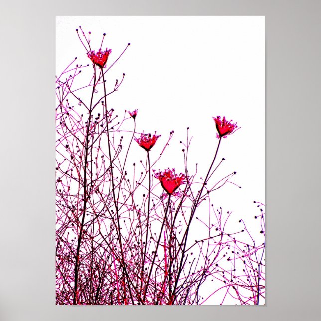 Póster flores rosadas (Frente)