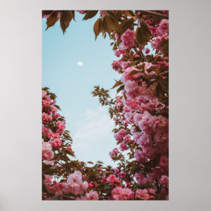 Póster Flores rosadas con cáscara