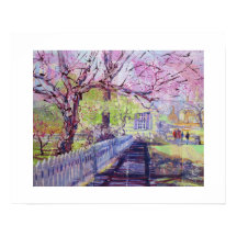 Flores rosadas de Cercis en Williamsburg Virginia